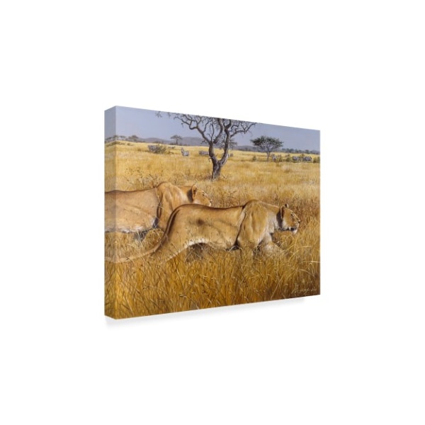 Harro Maass 'Hunting Lions' Canvas Art,18x24